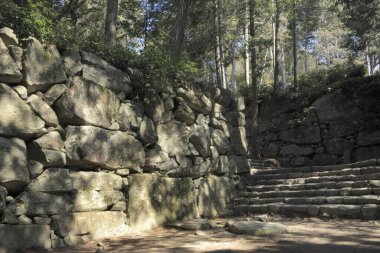 Taştan adımlar, yemyeşil ormanlara doğru gidiyor.