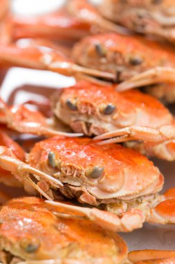 Gurme taze yengeçlerin yakın plan görüntüsü, lezzetli deniz ürünleri.             