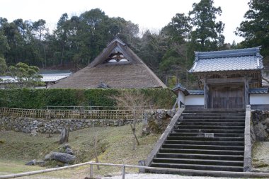 Ormandaki güzel antik Japon tapınağının manzaralı görüntüsü.