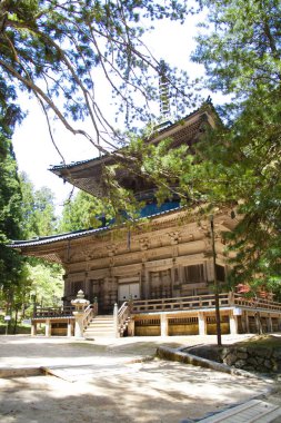 Orman ağaçlarıyla çevrili güzel antik Japon tapınağının manzaralı görüntüsü.