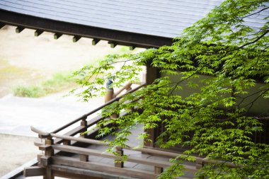 Ağaçlarda yeşil yapraklar olan Japon bahçesi. 