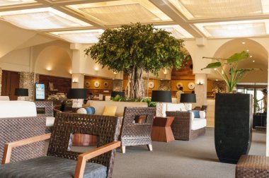 Rahat koltuklar ve bitkilerin bulunduğu modern dinlenme odası.