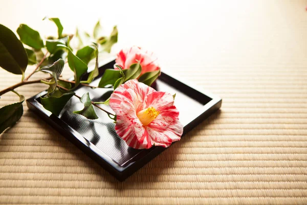 Hermosa Flor Japonesa Sobre Fondo Madera —  Fotos de Stock