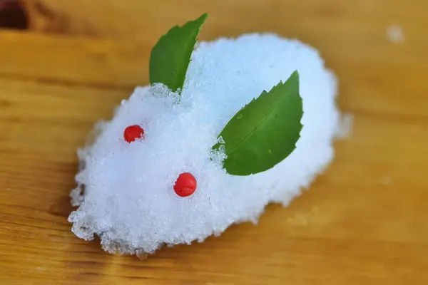 Japonya Adı Yuki Usagi Olan Kar Tavşanı — Stok fotoğraf