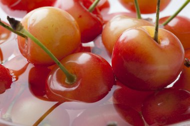 Taze kirazları suyla birlikte kaseye koy.