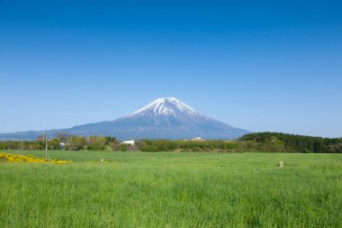 Japonya 'daki Fuji Dağı' nın güzel manzarası