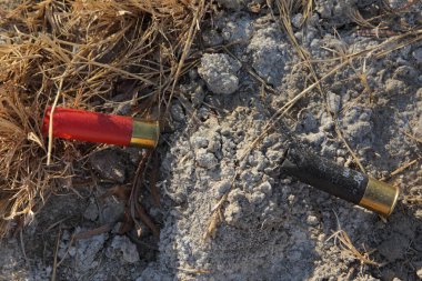 Ormandaki paslı metal fıçı doğanın arka planında