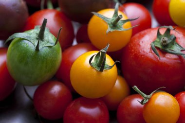 Taze olgun çeşitli organik domateslerin yakın plan görüntüsü     