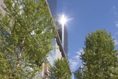 Tokyo, Japonya 'da gökdelenlerin ve yeşil yaprakların modern manzarası 