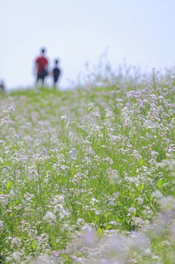 Ön planda yabani çiçekler ve arka planda bulanık insan siluetleri var.