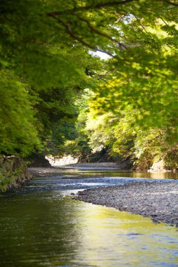 Yeşil dağların nehirde 