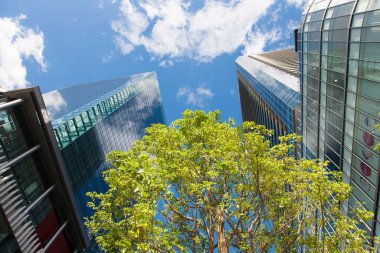 Tokyo, Japonya 'da gökdelenlerin ve yeşil yaprakların modern manzarası 