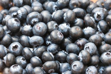 Taze taze organik yaban mersinlerinin yakın plan görüntüsü