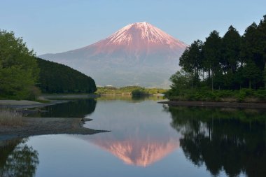 Japonya 'daki güzel Fuji dağı ve gölü doğa arka planında.