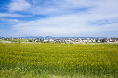 Ufuktaki yeşil tarla, kasaba ve tepelerin güzel manzarası