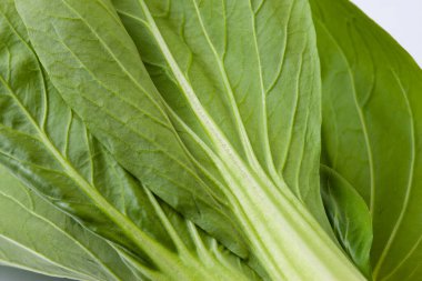Beyaz arkaplanda taze yeşil pak choi