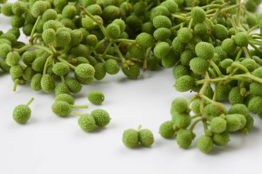 Taze Sichuan biberi, Zanthoxylum, yeşil ve genç 