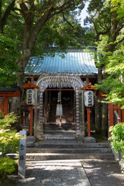 Ağaçlarla çevrili güzel antik Japon tapınağının manzaralı görüntüsü.