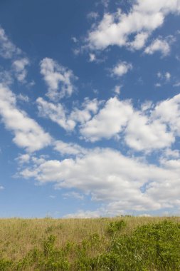 Çimen ve mavi gökyüzü doğa arka planında