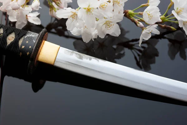 Japanese sword and cherry blossom