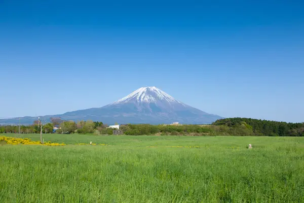 日本の富士山の美しい風景 — ストック写真