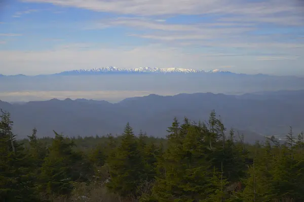 Красивый Вид Горы Зеленый Лес — стоковое фото