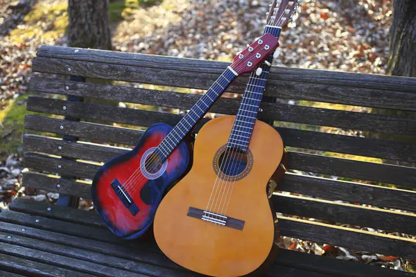 Guitarras Acústicas Perto Árvore Outono Fundo Natureza — Fotografia de Stock