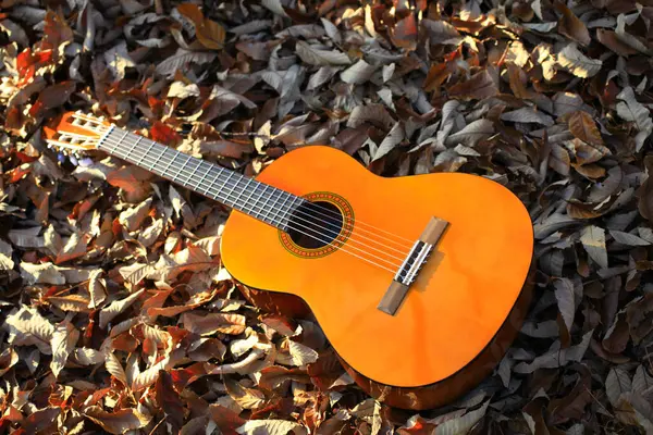 Gitara Akustyczna Jesienią Liśćmi Tle Natury — Zdjęcie stockowe