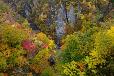 Dağlarda renkli ağaçlar olan güzel sonbahar manzarası