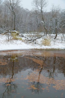 Güzel kış manzara Gölü ile 