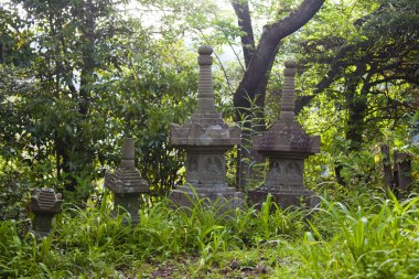 Japonya 'daki Budist manastırı kompleksi Koya-san.