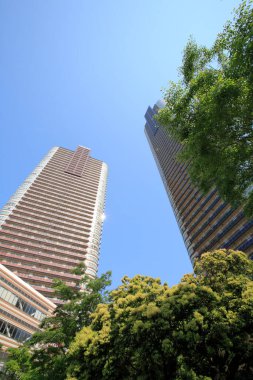 Şehirdeki modern binaların ve yeşil ağaçların alçak açılı görüntüsü             