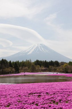 Fuji Dağı 'nın güzel manzarası  