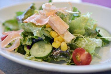 Beyaz tabakta sebzeli lezzetli sağlıklı salata manzarası.