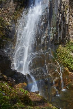 Ormanda güzel bir şelale