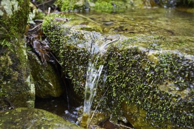 Dağlarda manzaralı akıntılı güzel bir manzara.    