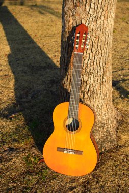 Sonbahar mevsiminde sonbahar yapraklarında akustik gitar