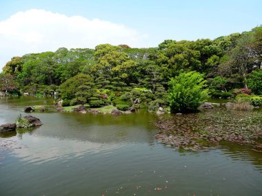 Park 'taki güzel gölet, Japonya