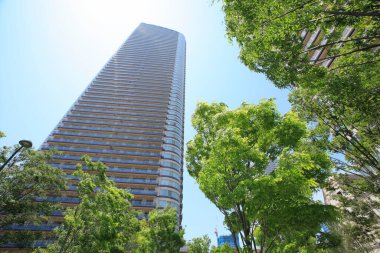 Şehirdeki yüksek binaların ve yeşil ağaçların alçak açılı görüntüsü    