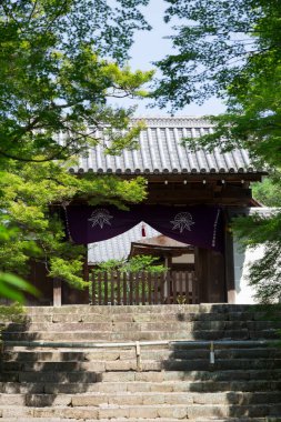 Güzel Japon Yeşil Bahçe 