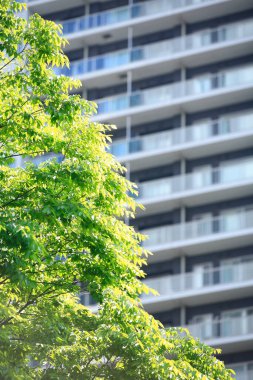 Çağdaş binanın düşük açılı manzarası ve şehirde yeşil ağaçlar             