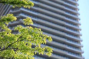 Çağdaş binanın düşük açılı manzarası ve şehirde yeşil ağaçlar             