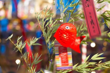 Japon Tanabata Festivali sırasında Bambu Yapraklarına Asılı Kırmızı Balık Dekorasyonu
