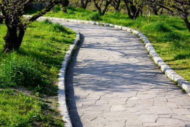 Bahçedeki patikada yeşil çimenler ve ağaçlar