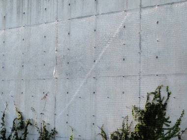 Arka planda yeşil yapraklı eski duvar dokusu