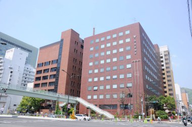 Tokyo 'da trafik sıkışıklığına bir perspektif.