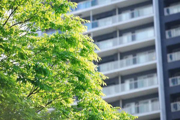 市内の近代的な建物と緑の木の低い角度の景色 — ストック写真