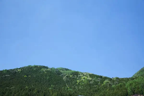 Зеленые Горы Летнем Пейзаже — стоковое фото