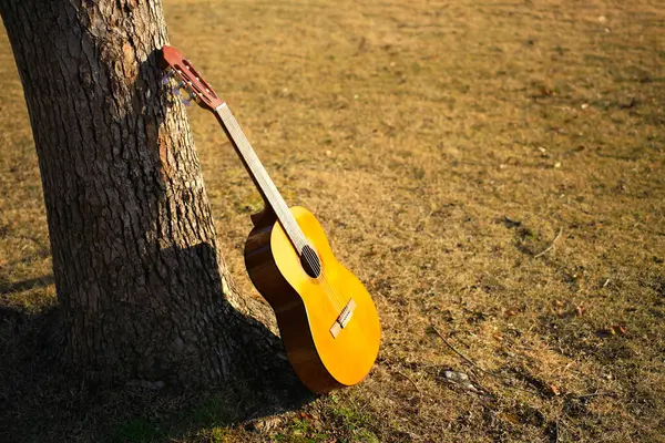 Guitarra Acústica Folhas Outono Temporada Outono — Fotografia de Stock