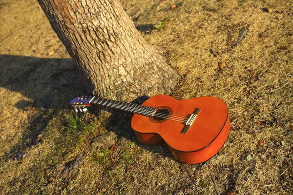 Guitarra Acústica Folhas Outono Temporada Outono — Fotografia de Stock